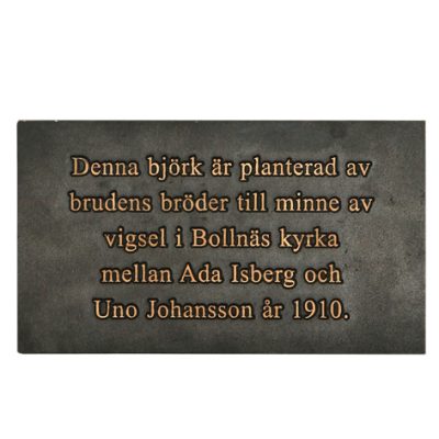 Denna björk är 12x12 100dpi oskm 6290 WEB